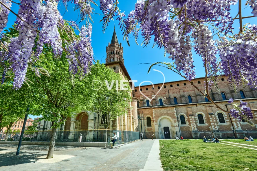 Photo TOULOUSE by VIET - Place de Saint-Sernin et ses glycines
