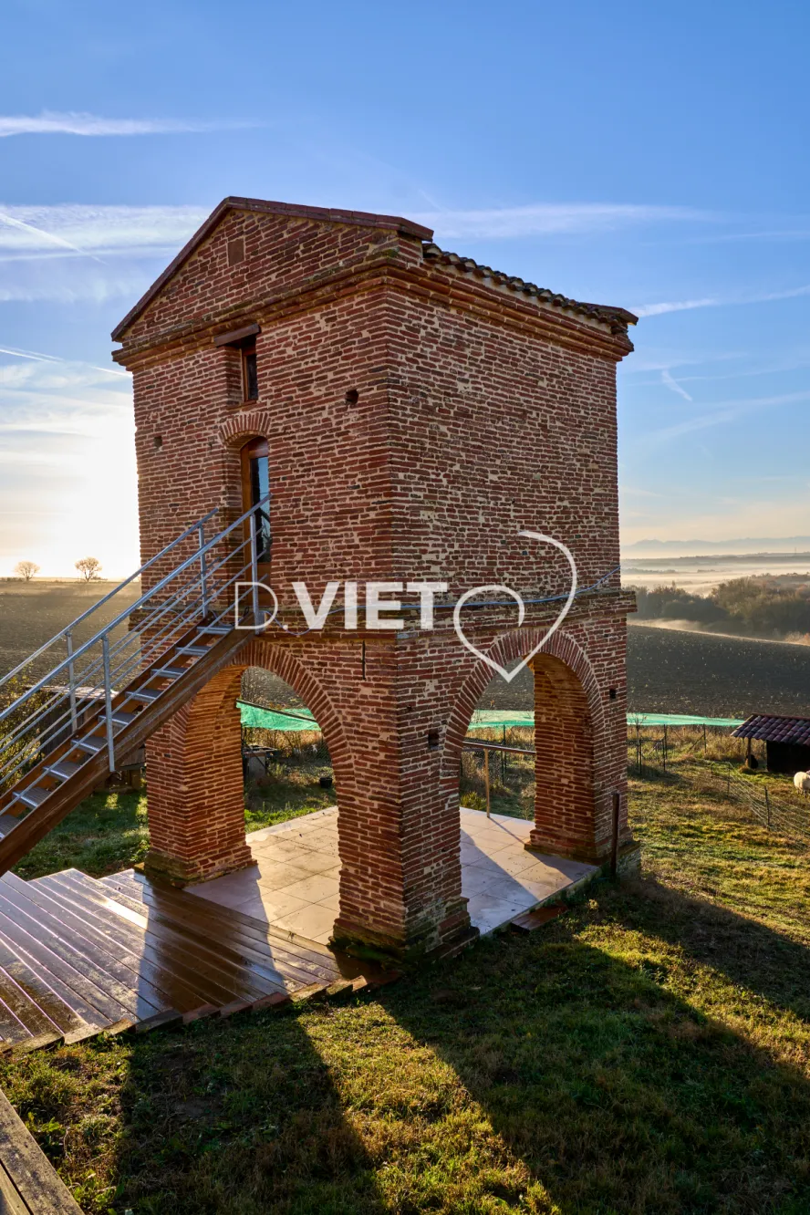 Photo TOULOUSE by VIET - PIGEONNIER