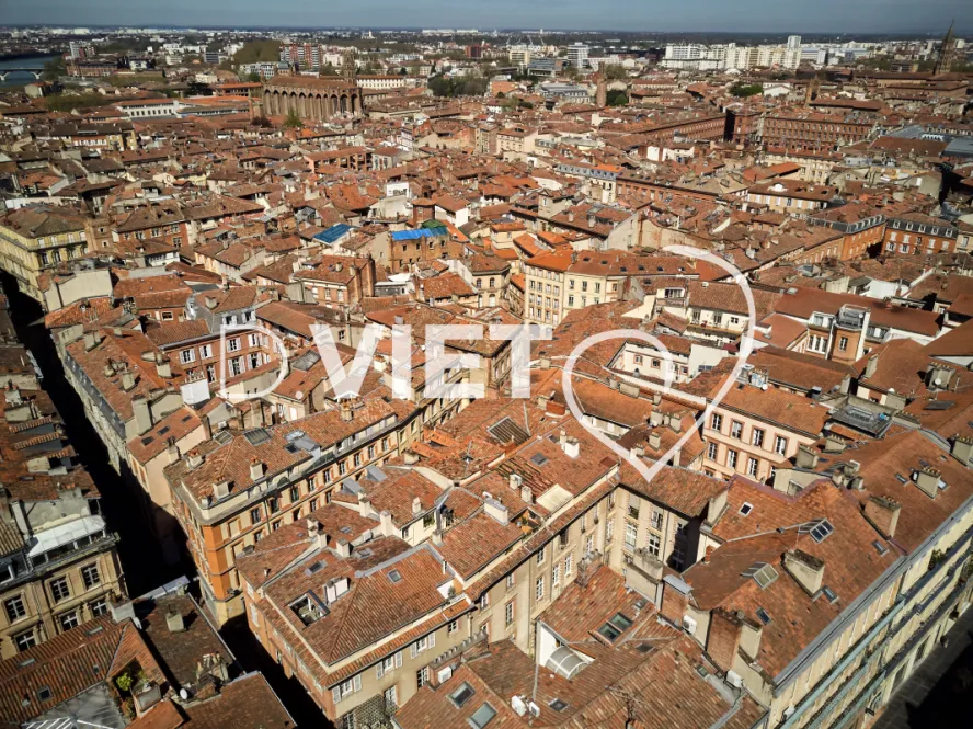 Photo TOULOUSE by VIET - toits de Toulouse