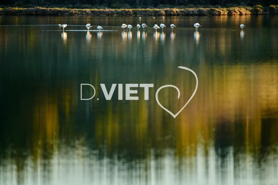 Photo TOULOUSE by VIET - Etangs de Bages et de Sigean