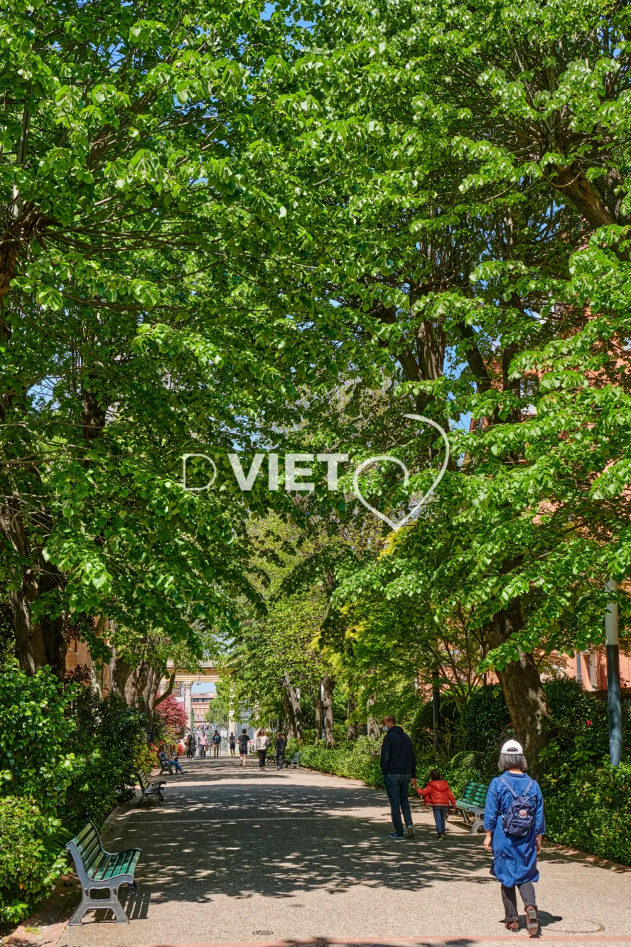 Photo TOULOUSE by VIET - Jardin des plantes