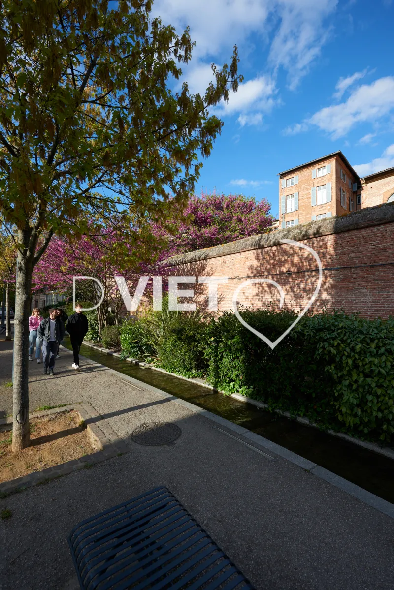 Photo TOULOUSE by VIET - VIET_008812
