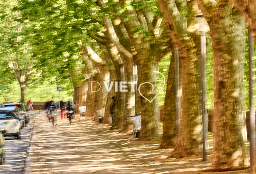 Photo TOULOUSE by VIET - VIET_013025