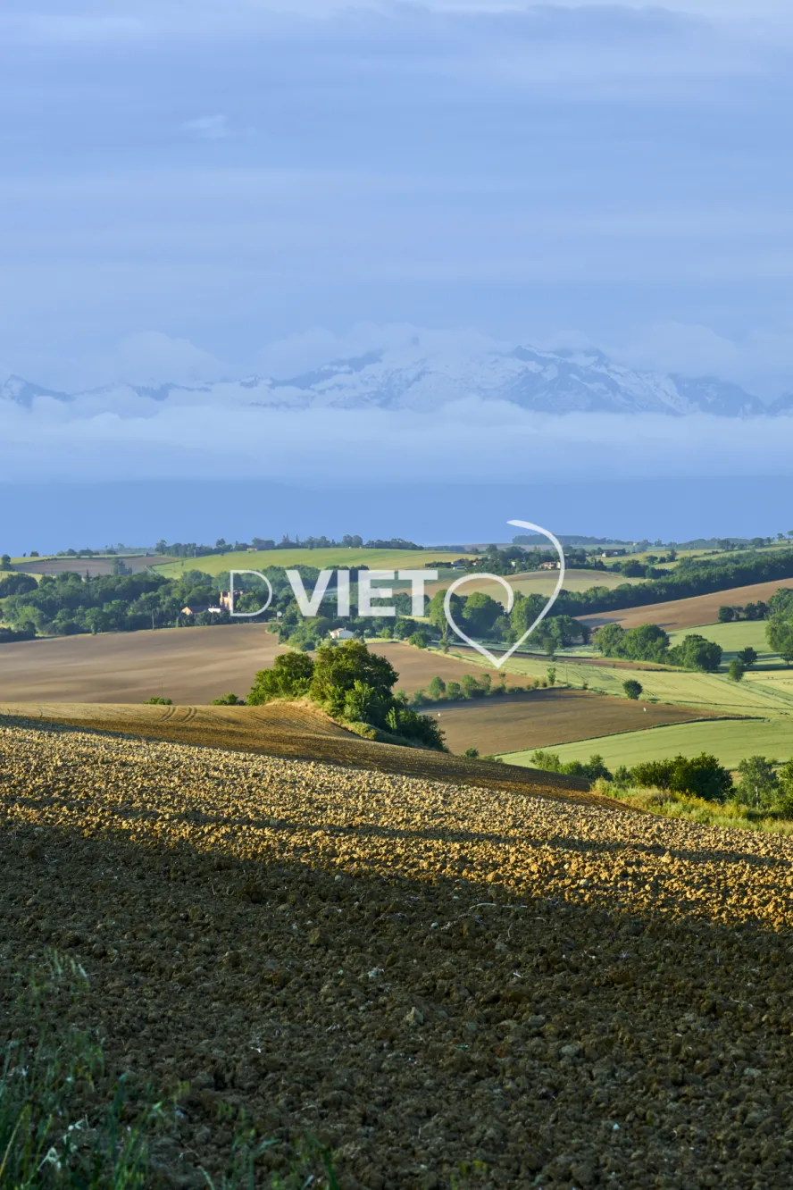 Photo TOULOUSE by VIET - Paysages Toscane