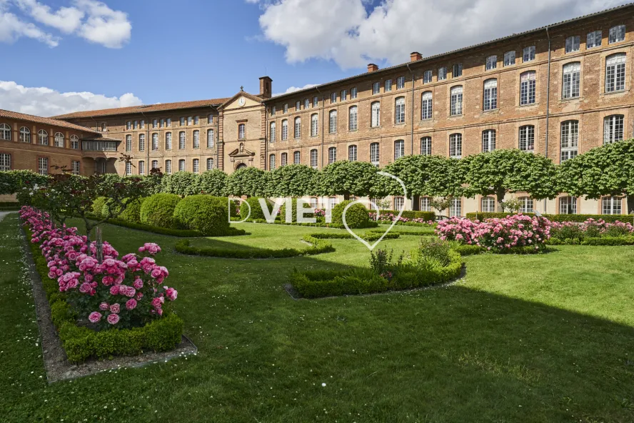 Photo TOULOUSE by VIET - VIET_013628