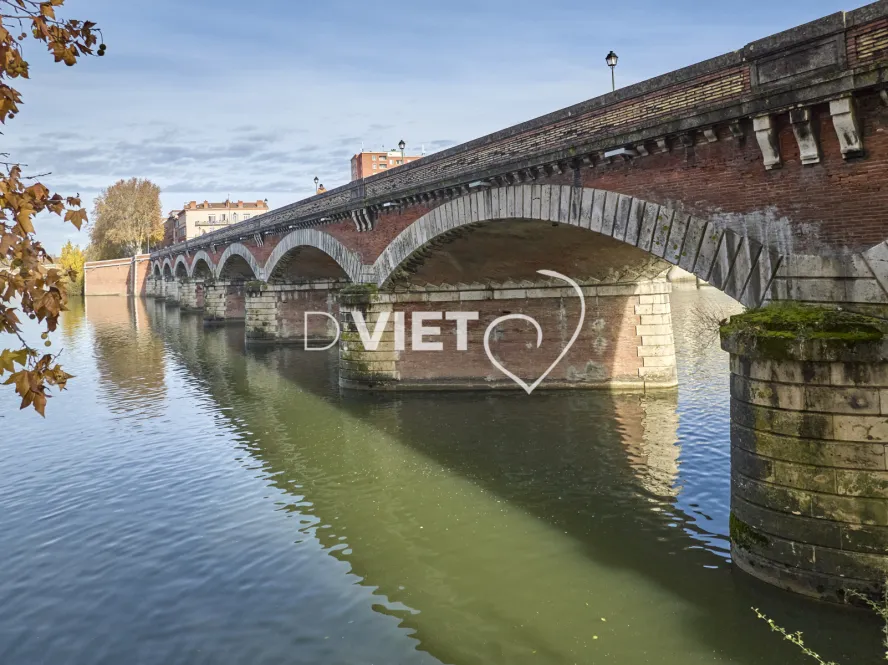 Photo TOULOUSE by VIET - Garonne et pont du halage de Tounis