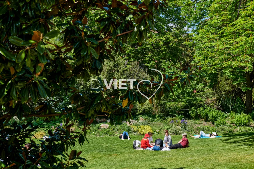 Photo TOULOUSE by VIET - Le printemps les verts fluo les arbres