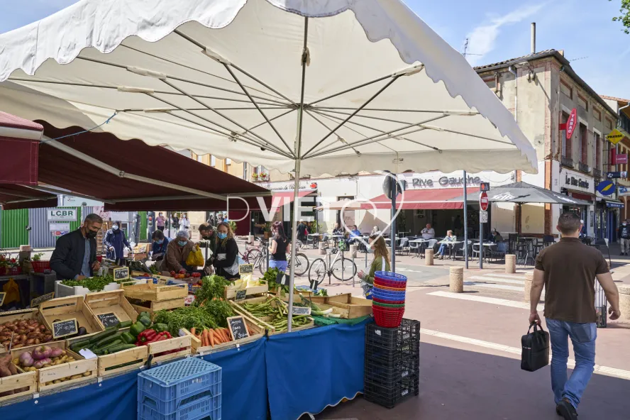 Photo TOULOUSE by VIET - VIET_013670
