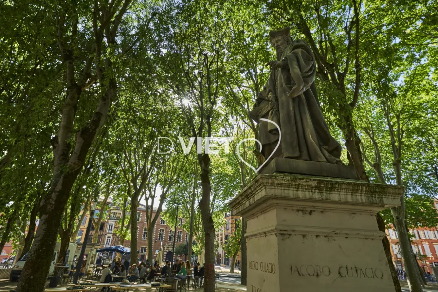 Photo TOULOUSE by VIET - Statue de Jacques Cujas