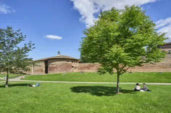 Photo TOULOUSE by VIET - Jardin Raymond VI