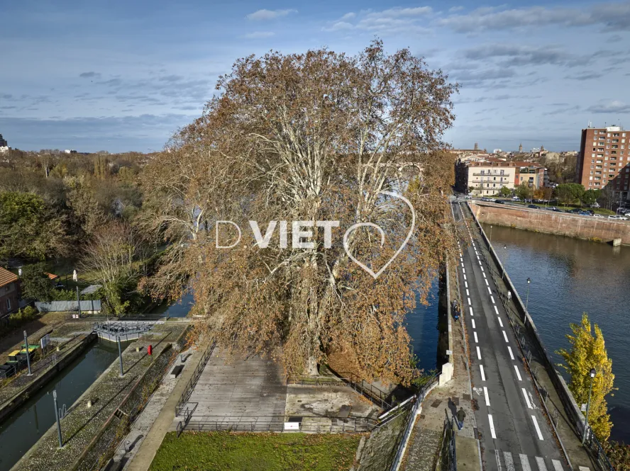 Photo TOULOUSE by VIET - Garonne et pont du halage de Tounis