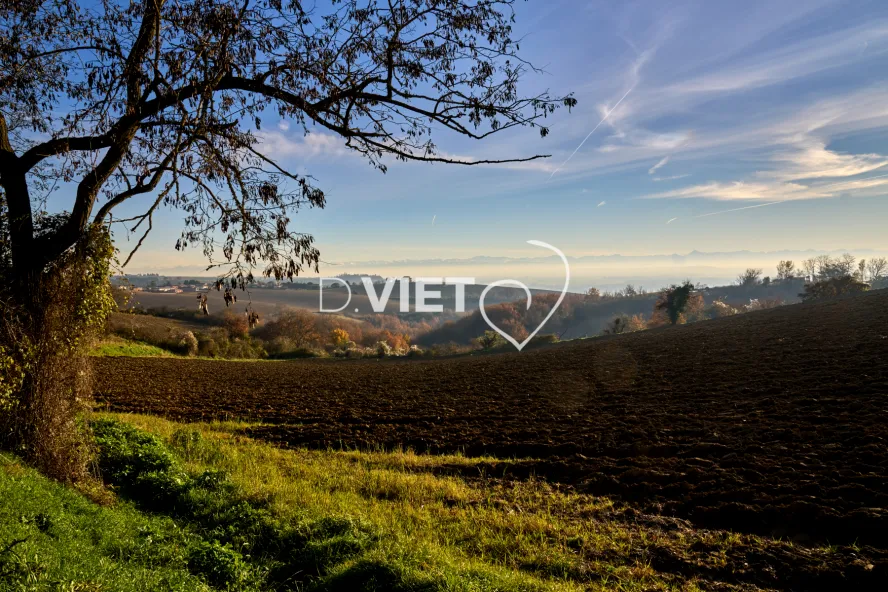 Photo TOULOUSE by VIET - GOYRANS