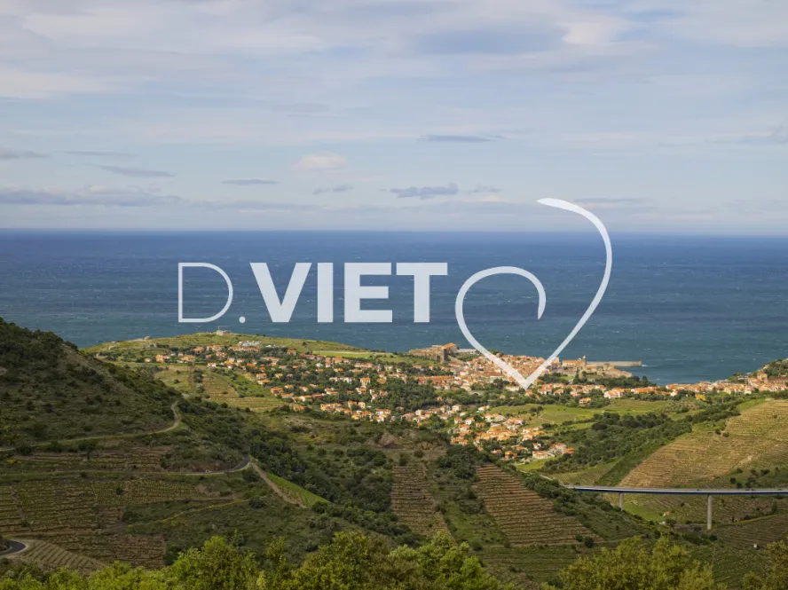 Photo TOULOUSE by VIET - Collioure