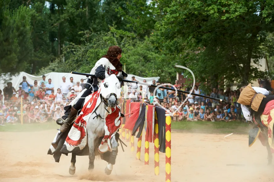 Photo TOULOUSE by VIET - Chevalerie et tournois festifs