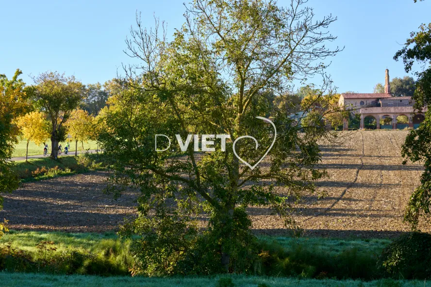 Photo TOULOUSE by VIET - Aureville le village
