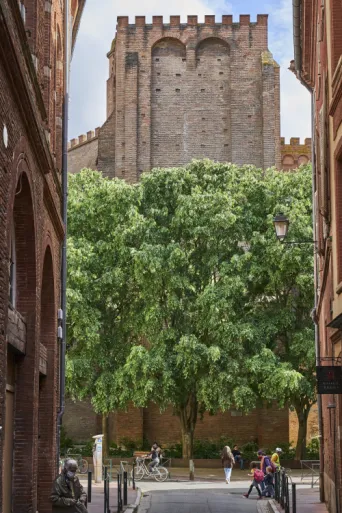 Photo TOULOUSE by VIET - Rue des Paradoux