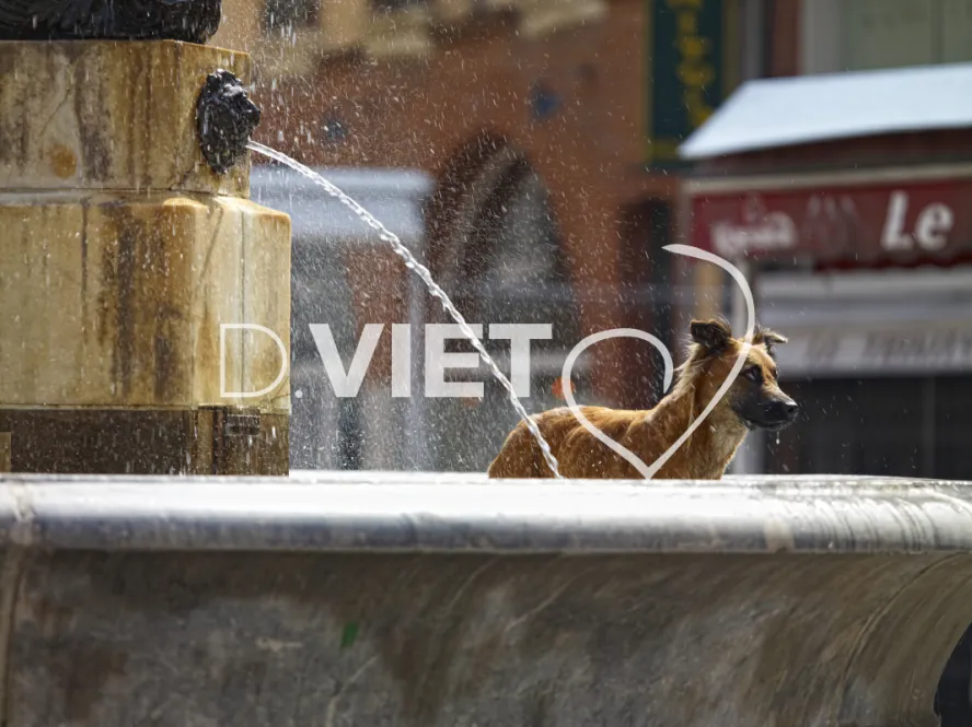 Photo TOULOUSE by VIET - La fontaine de la Trinité