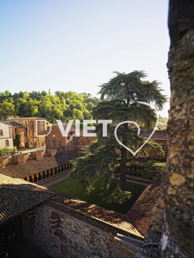 Photo TOULOUSE by VIET - Cloitre moissac