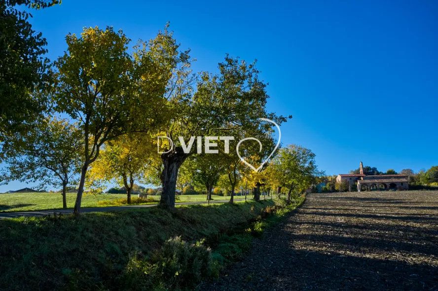 Photo TOULOUSE by VIET - Aureville le village