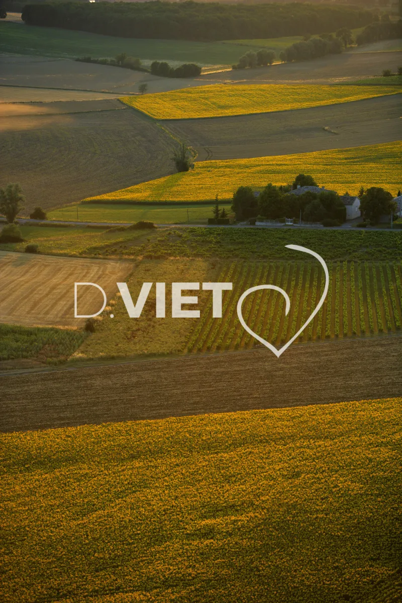 Photo TOULOUSE by VIET - 81 ENTRE CAHUZAC SUR VERE ET CASTELNAU N43°574066 E001°51290 ©VIET 361.com
