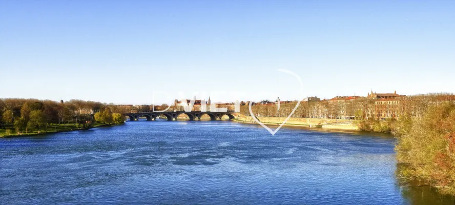Photo TOULOUSE by VIET - Pont neuf et Carmes