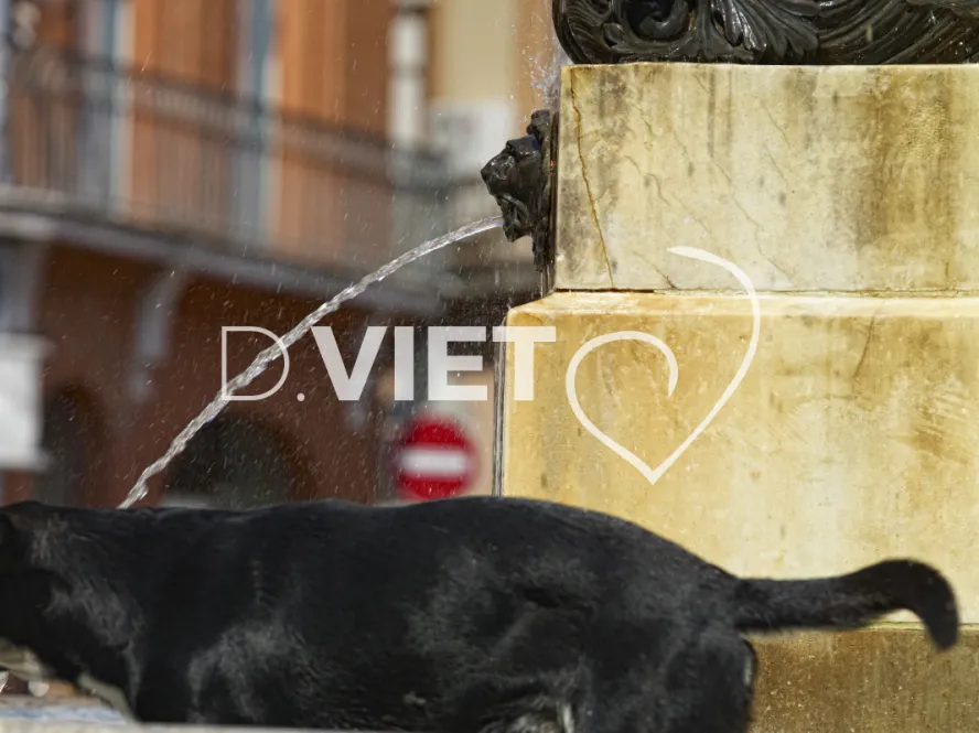 Photo TOULOUSE by VIET - La fontaine de la Trinité