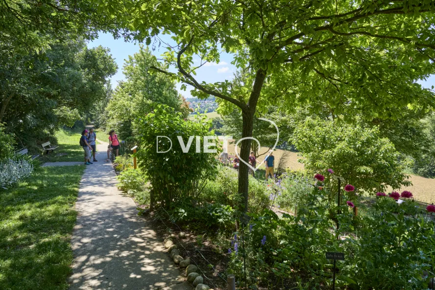 Photo TOULOUSE by VIET - SICOVAL