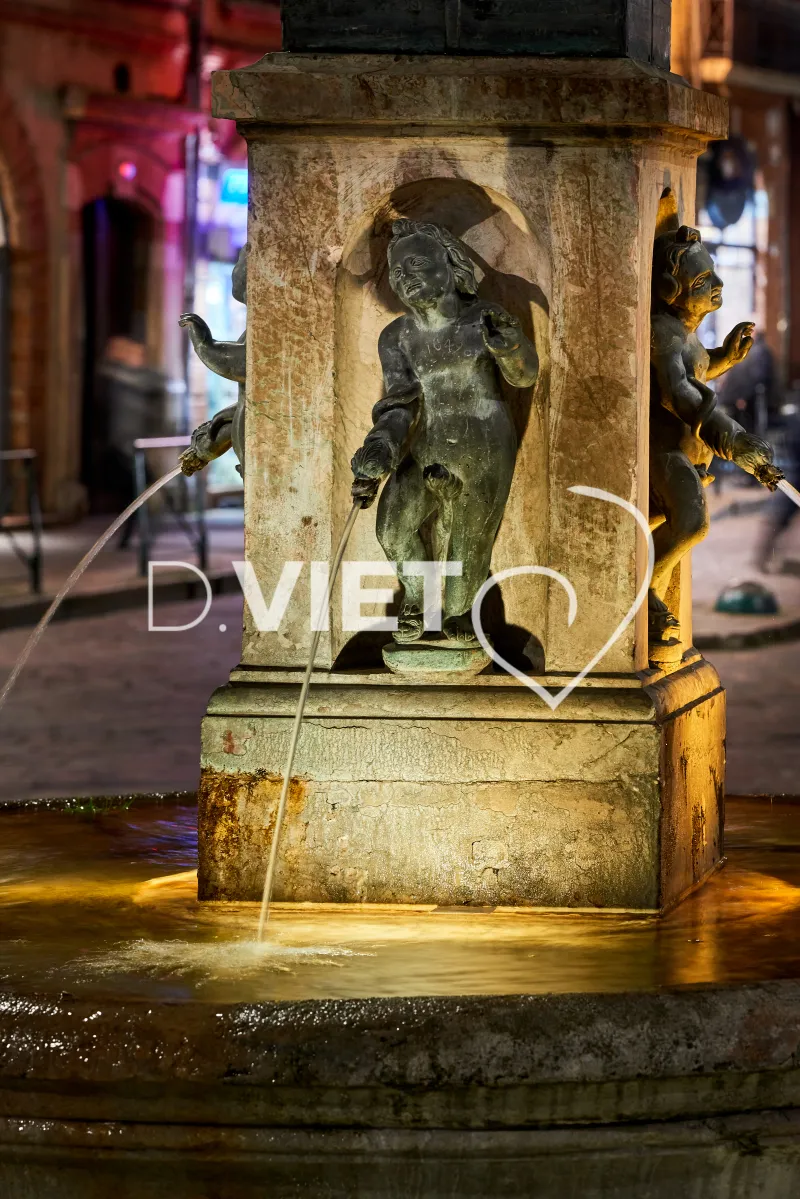 Photo TOULOUSE by VIET - VIET_008826