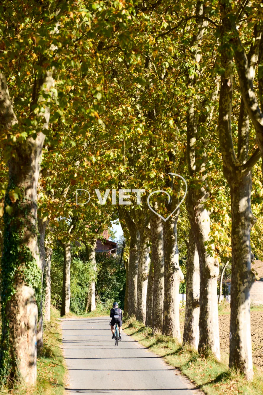 Photo TOULOUSE by VIET - Le Village d'Espanes