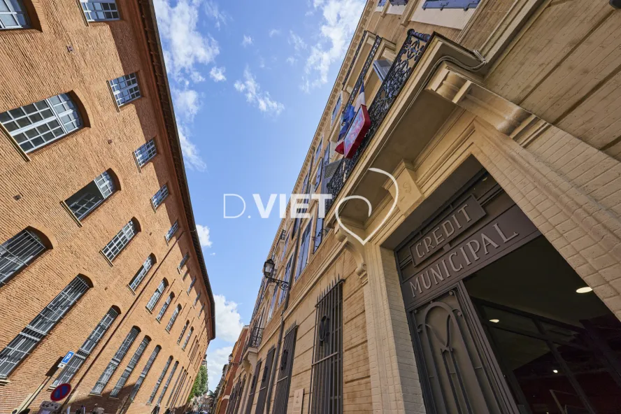 Photo TOULOUSE by VIET - VIET_013608