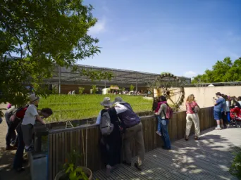 Photo TOULOUSE by VIET - R&Eacute;VEIL DES JARDINS : LE BAL CR&Eacute;OLE
