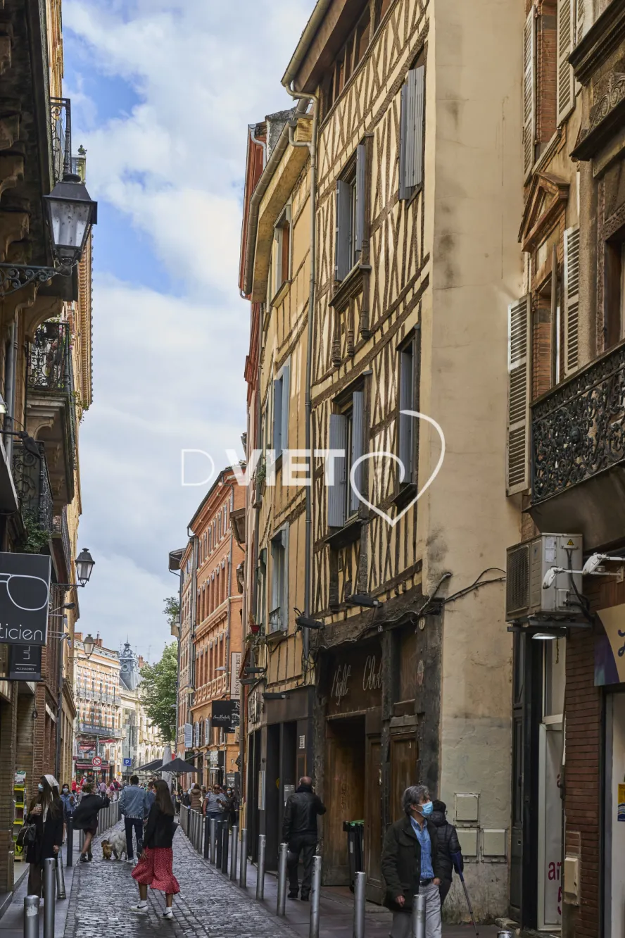 Photo TOULOUSE by VIET - VIET_013647