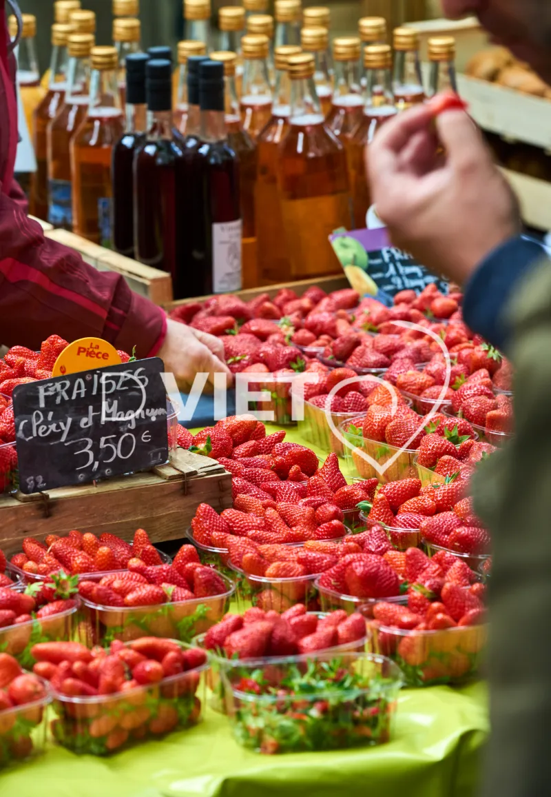 Photo TOULOUSE by VIET - VIET_008906