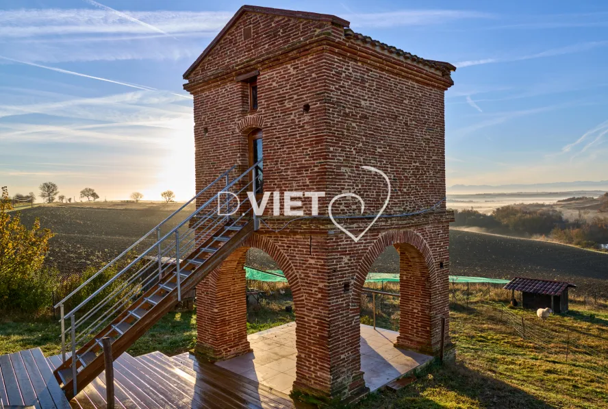 Photo TOULOUSE by VIET - PIGEONNIER