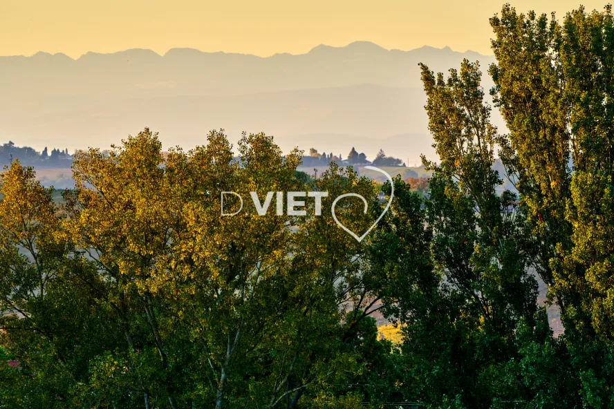 Photo TOULOUSE by VIET - MERVILLA