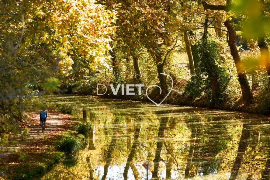 Photo TOULOUSE by VIET - Ayguesvives