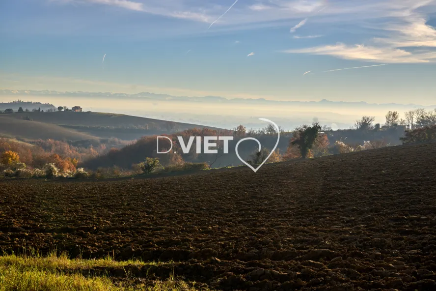 Photo TOULOUSE by VIET - GOYRANS