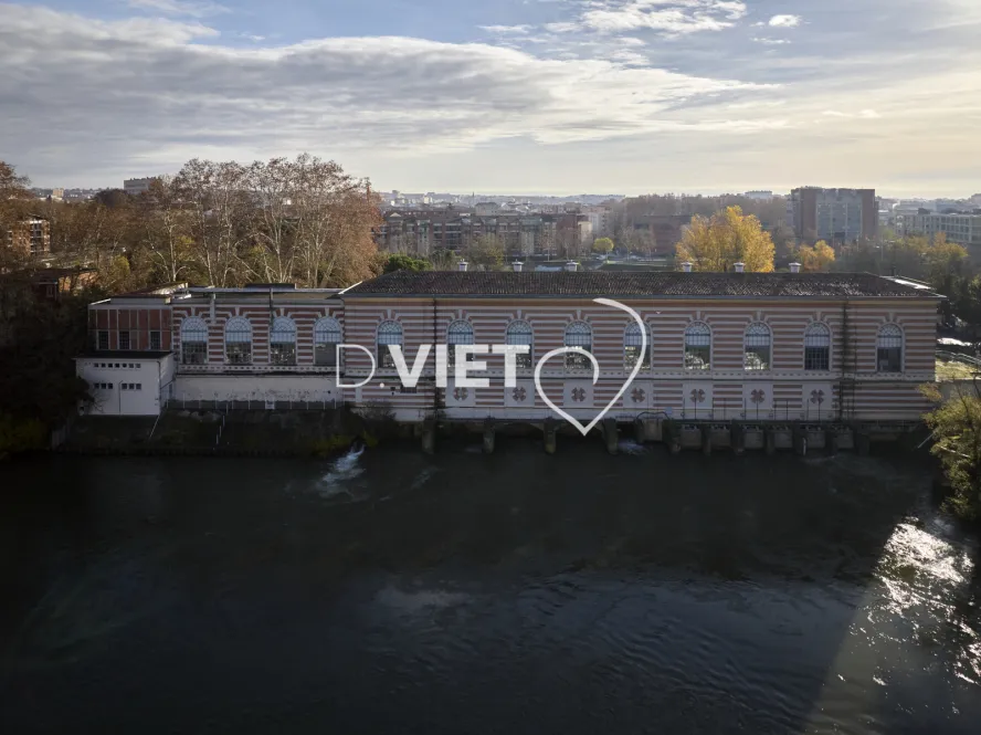 Photo TOULOUSE by VIET - Garonne et ramier