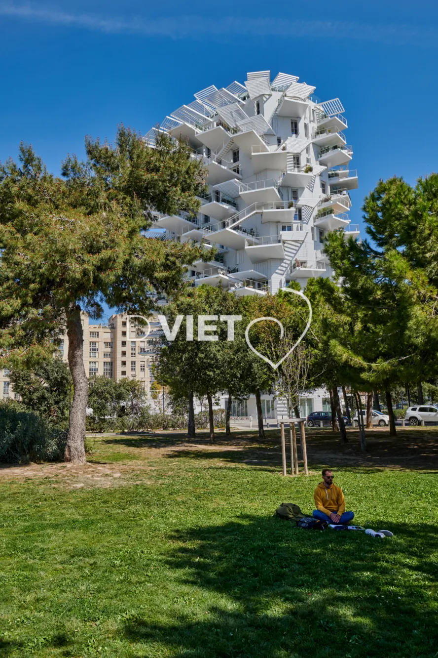 Photo TOULOUSE by VIET - L'arbre blanc