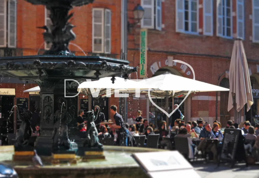 Photo TOULOUSE by VIET - Place Olivier