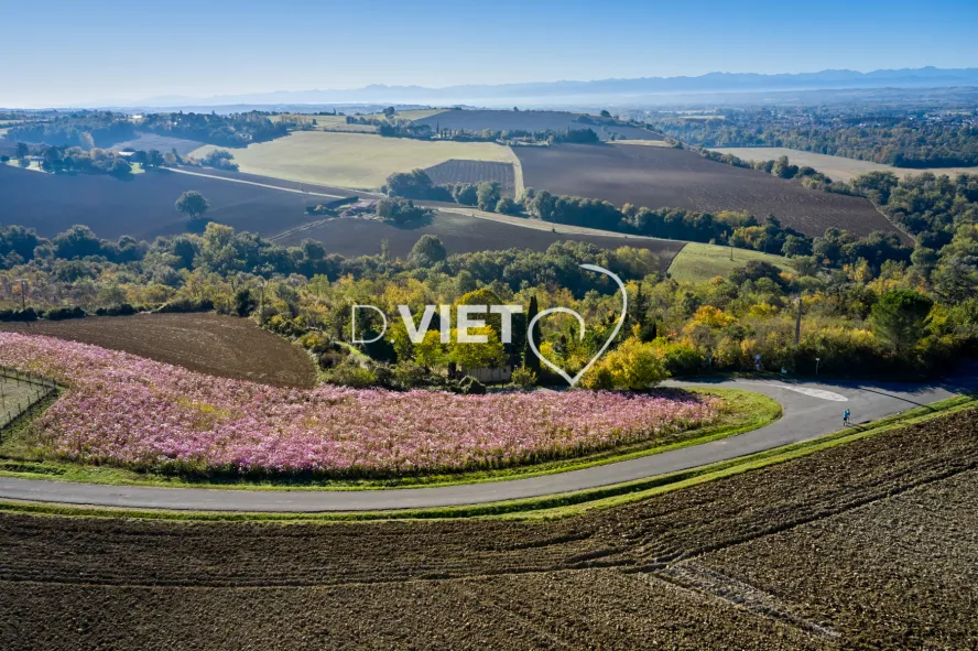 Photo TOULOUSE by VIET - Les contreforts
