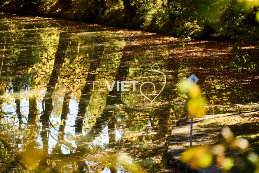 Photo TOULOUSE by VIET - Ayguesvives