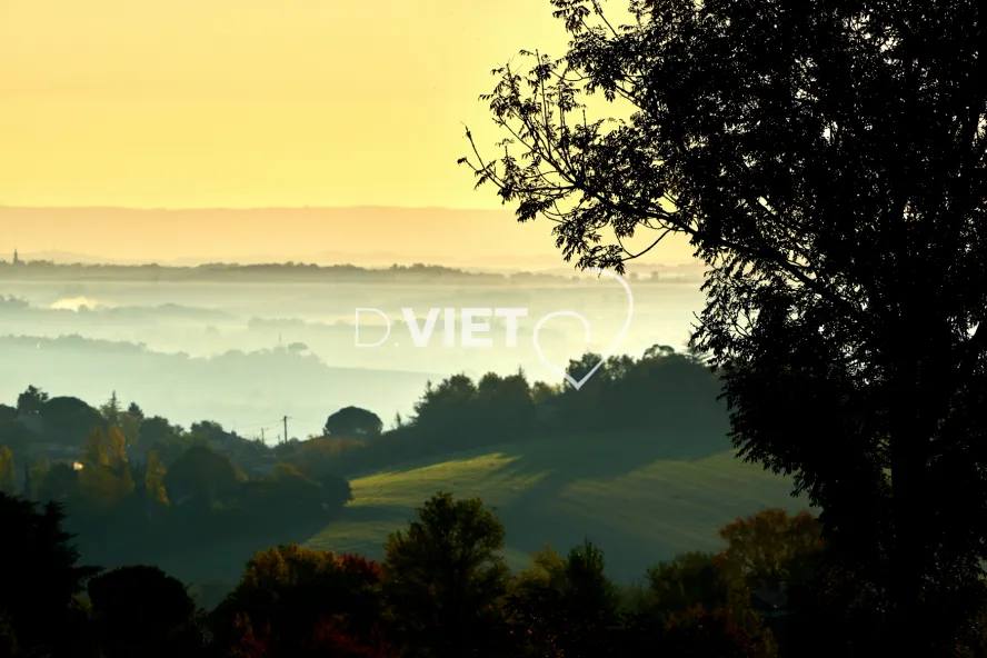 Photo TOULOUSE by VIET - MERVILLA