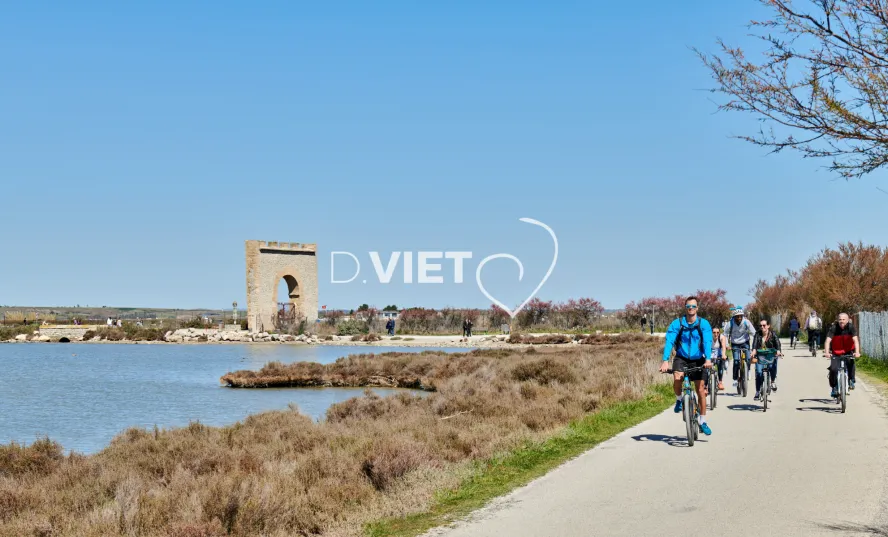 Photo TOULOUSE by VIET - Etang de l'Arnel