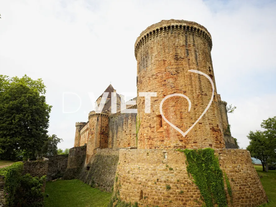 Photo TOULOUSE by VIET - Chateau de Castelnau