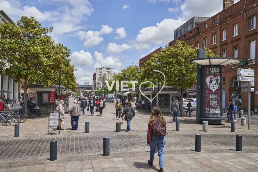 Photo TOULOUSE by VIET -  Square Lafayette et les allées Roosevelt