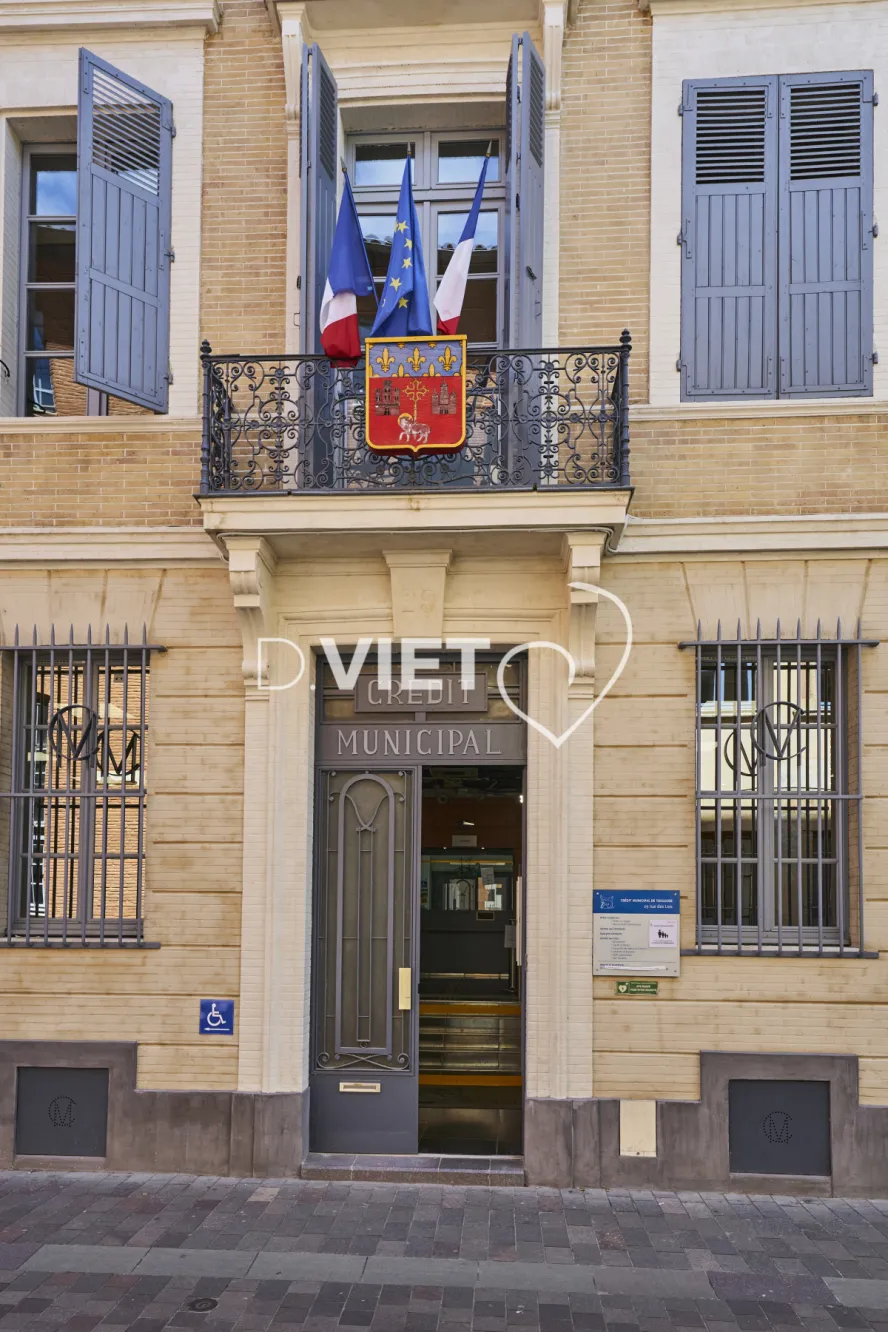 Photo TOULOUSE by VIET - VIET_013607