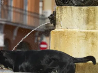 Photo TOULOUSE by VIET - La fontaine de la Trinit&eacute;