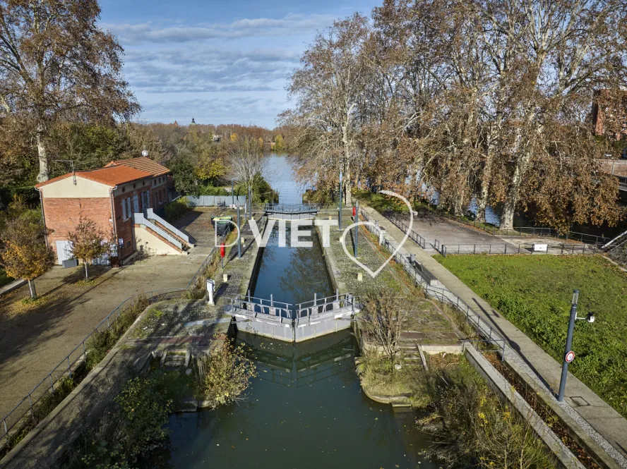 Photo TOULOUSE by VIET - Garonne et ramier