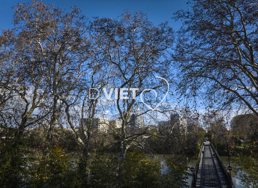 Photo TOULOUSE by VIET - Passerelle de la poudrière